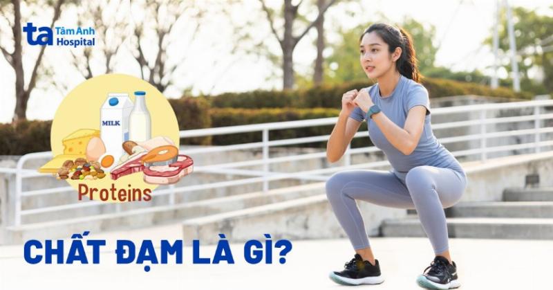 Chất Đạm Có Tác Dụng Gì: Hơn Cả “Gạch Xây” Cơ Thể, Nền Tảng Của Sự Sống